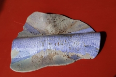 K19-638a